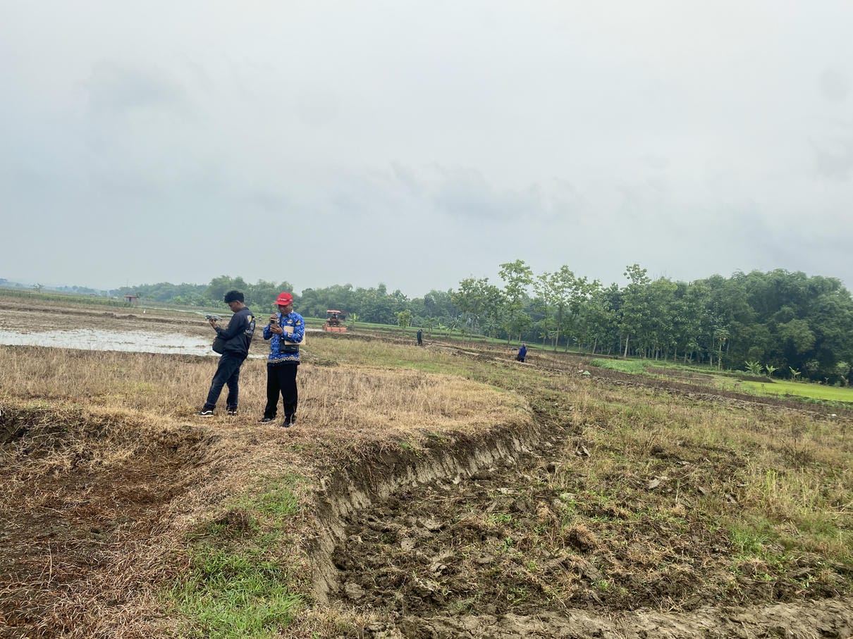 Sewa Aset Lahan Pertanian Adirejo - Foto 3