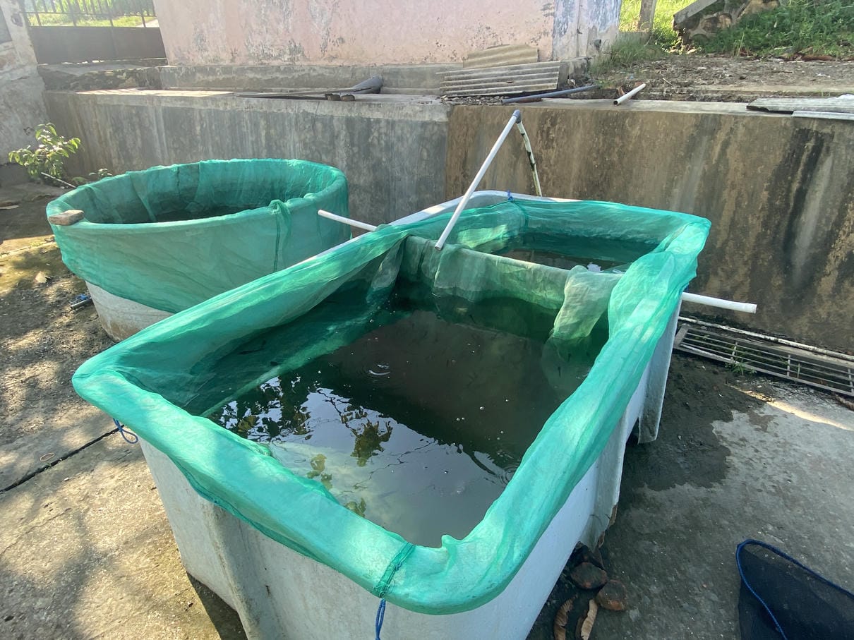 Sewa Aset Sarana Balai Benih Ikan Kajengan - Foto 2